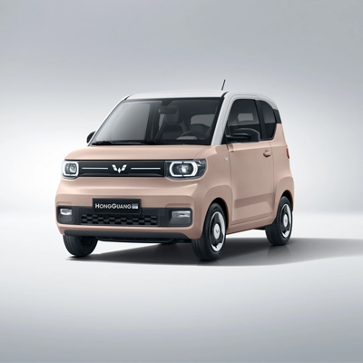 Cho thuê xe ôtô điện tự lái